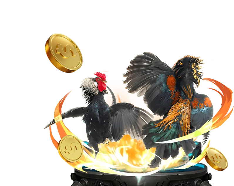 Hình minh họa FAQ i888